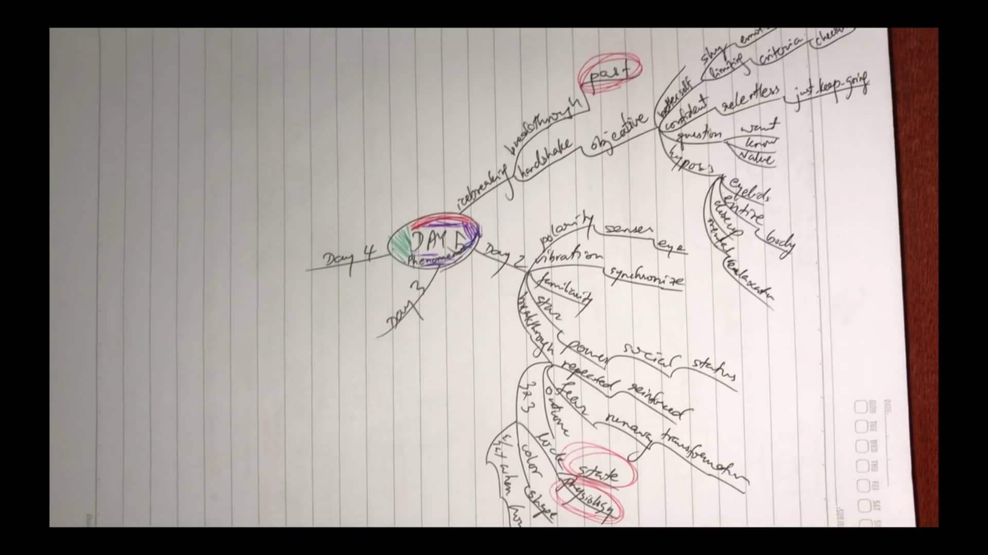 14. Mind-mapping & Whole Brain learning